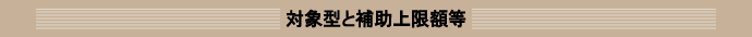 対象型と補助上限額等