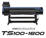 TS100-1600