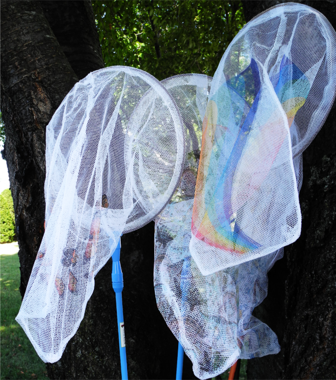 昇華転写プリンタで作った虫取り網３種類（蝶、恐竜、虹）