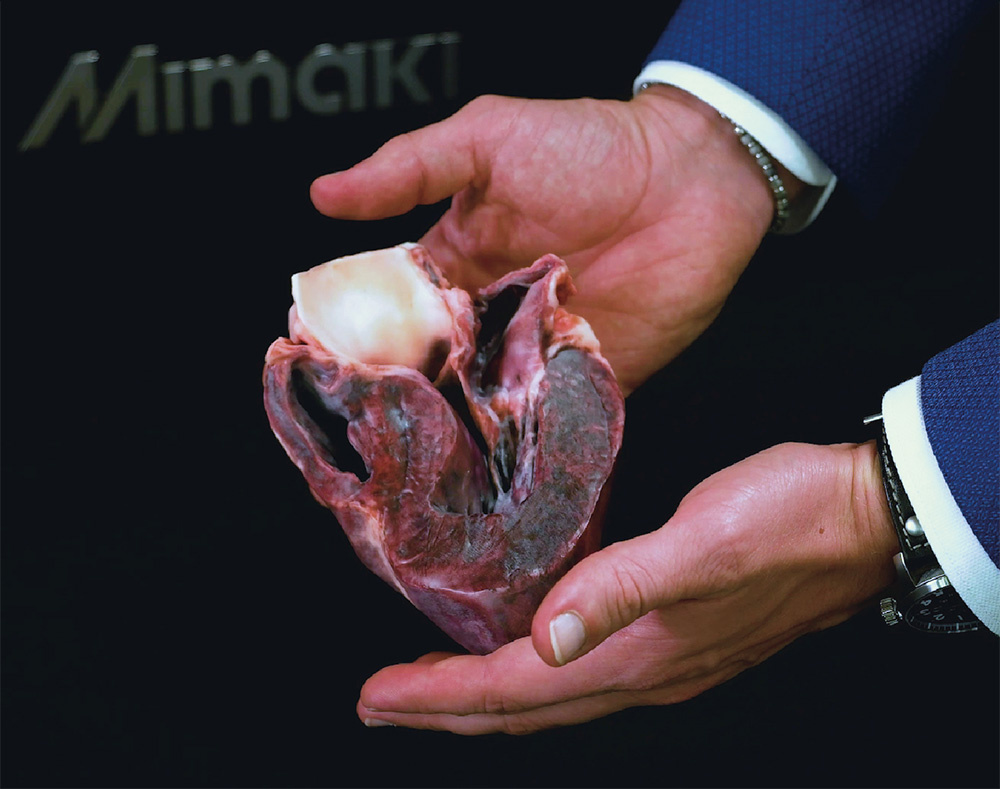 3Dスキャン、3DUJ、統合アルゴリズムの組み合わせで実現したリアルな心臓モデルを披露するジェラーティ氏