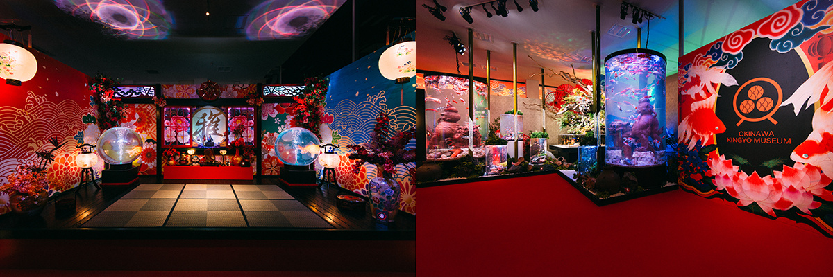 沖縄金魚ミュージアムの内観